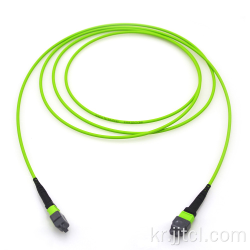 MPO 트렁크 케이블 12F 24F OM5 라임 3.0mm